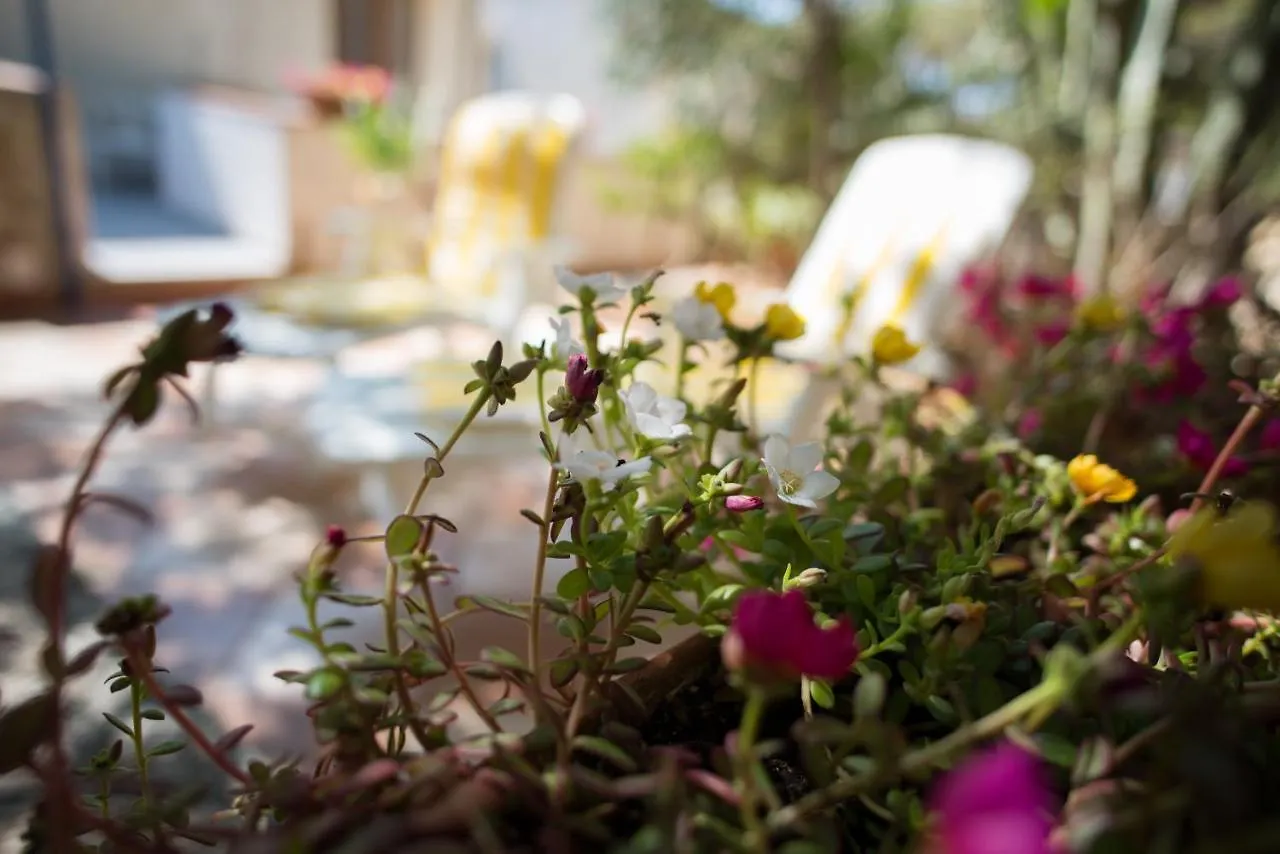 Sea Front Apartment 5 Beds With Balcony 250 Meters From The Beach Case San Marco İtalya